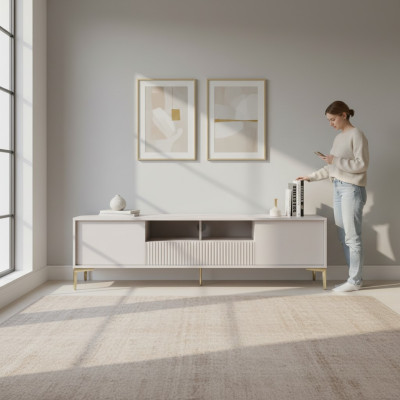 TV Lowboard TV Schrank Board Fernsehschrank Sideboard Modern Edelstahl