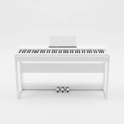 Digitální stage piano