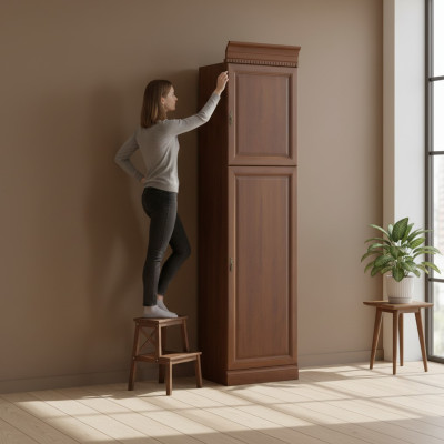 Klassische Schränke Schrank Schrankwand Holzschrank Vitrine Regal - Model BA-12